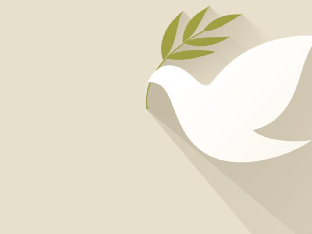 Gift of Goodness | The Nin Family: A Story of Peace